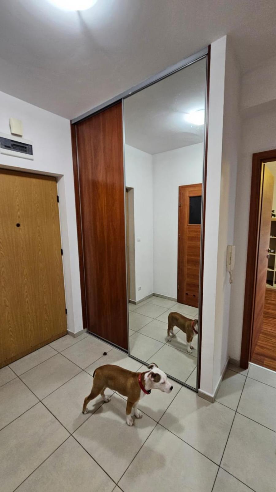 Apartament Lipinskiego Krakau Exterior foto