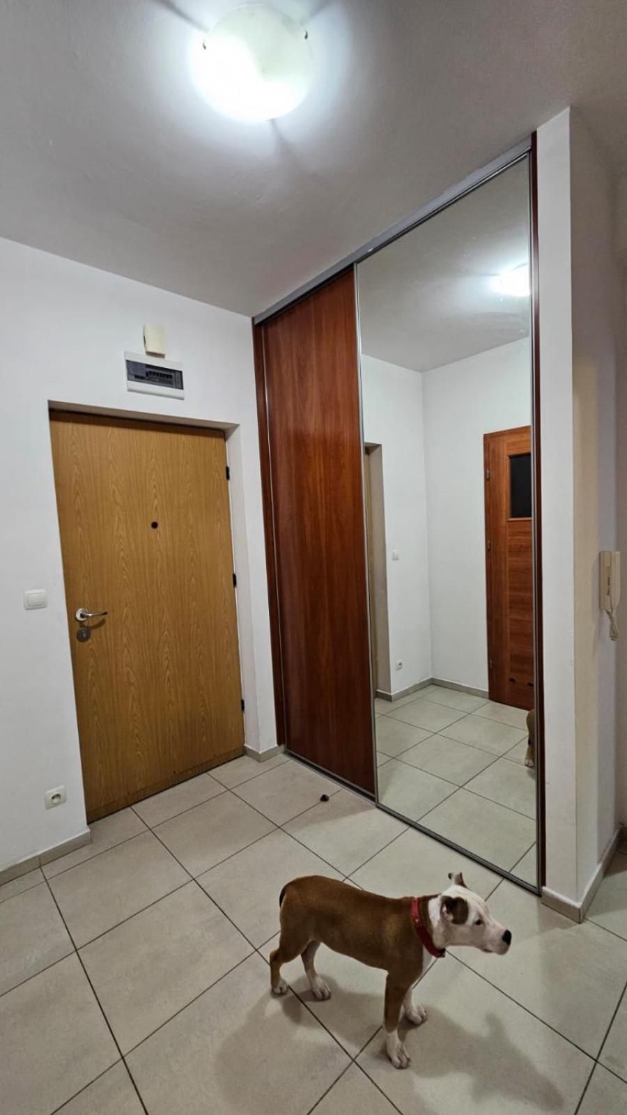 Apartament Lipinskiego Krakau Exterior foto